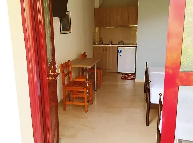 Zacharogianni * ניקיאנה