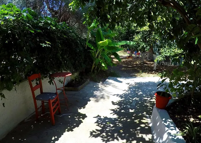 Zacharogianni * ניקיאנה